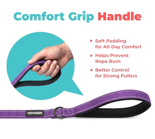 Image of Best Pet Supplies Voyager Reflective Dog Leash or Collar with Neoprene Handle, for Small, Medium, and Large Breed Puppies, Cute and Heavy Duty for Walking, Running and Training - Purple (Leash), M
