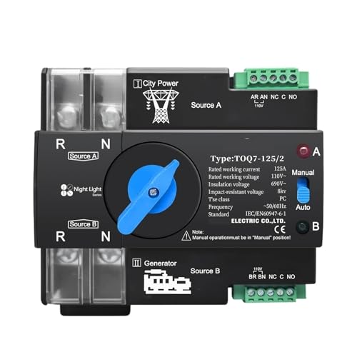 Commutateur ATS 110V 120V avec transfert automatique sans coupure pour rail Din 2P 125A