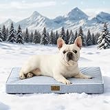 COZY KISS Cama Refrescante Perros Medianos M, Q-MAX0.4 Cojín Ortopédico Transpirable Espuma Gel, Colchón Lavable Jaula, Funda Desmontable, Antideslizante, 76x51x7.5cm, Azul Claro