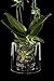 Maceta para orquideas transparente
