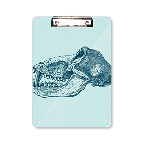 Carnet de notes A4 Flank à motif tête de mort et animal pour l'écriture