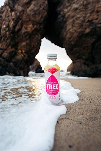 Treo Fruit & Birch Water Drink Variety Pack, Pack of 12