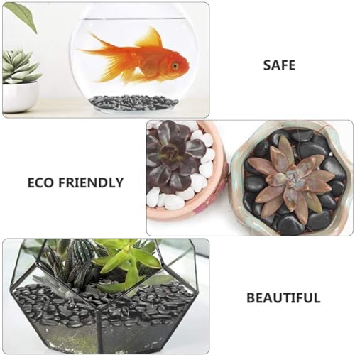 Image of Pebbles Stones for Plants Pots, Decorative Garden and Glass Pebbles, Table and Home Decor, Vase Fillers, Gravels Stone for Aquarium, Vase, Fountain Home Outdoor (Black) (480 GM)