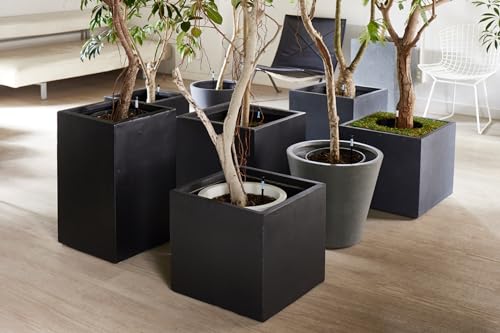 SUSTEE Gießanzeiger (2er-Set) - SAGT Ihnen Wann zu Gießen - Funktioniert für alle Pflanzen und Böden - Einfach, Batteriefrei - Hergestellt in Japan (Schwarz, Mittel)