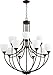 Quorum 6059-12-86 12 Light Chandelier, Bronze/Dark