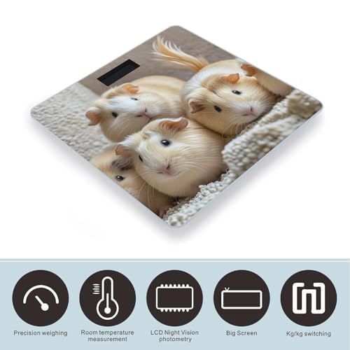Báscula digital para baño en vidrio templado compacta miniatura 3