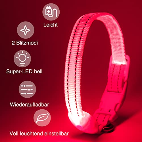 Koskill Light Up Dog Collar At Night, Led Dog Collar Adjustable, Lighted Dog Collar Rechargeable Waterproof, Dog Lights For Night Walking, Glow In The Dark Dog Collars Light For Small Pet(S, Pink) #TOP1