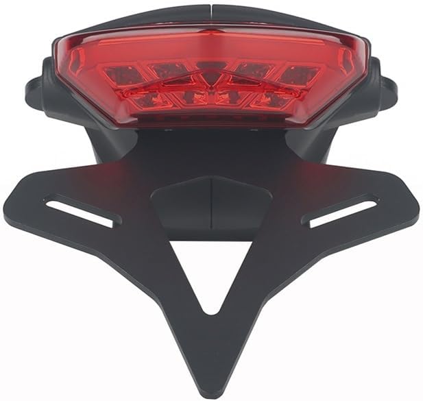 トライデント 660 2021- バイクナンバープレートホルダー テールライト リアマッドガード ライト・テイル(Color 020