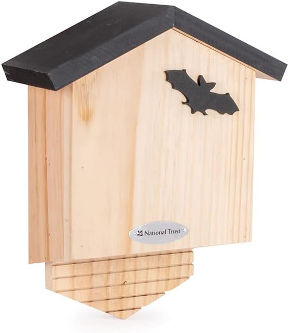 Bats Drac The Bat Box 3dz Animal Kingdom Unisex 36 main image 1