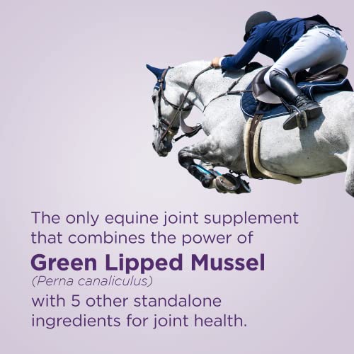 Formula 707 Joint 6In1 Equine Supplement 5 Lb Bucket- Support For Joint Integrity And Inflammatory Response In Horses - Green-Lipped Mussel, Msm, Glucosamine, Chondroitin & Collagen #TOP2