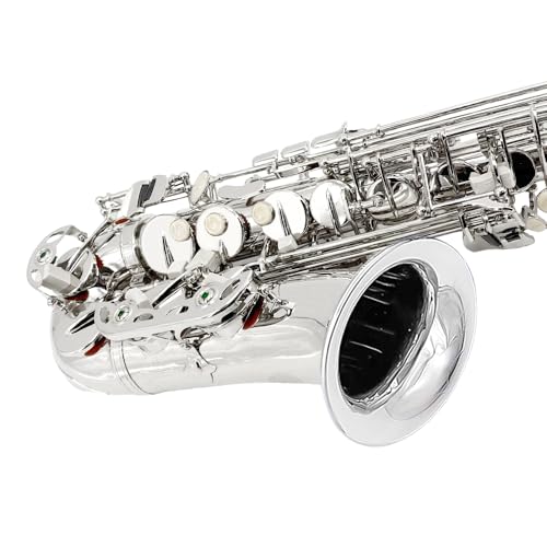 Image of Alto Sax Saxophone Beginner Kit Alto Saxophone E Flat with Mouthpiece Carrying Case Straps 10Reeds for Students and Adults