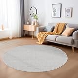 Carpetsale24 Alfombra Salon de Pelo Corto 160 cm Redonda Gris - Alfombras de Habitacion Duradera y Robusta, Decorativa Cut-Loop, Estructura Jaspeada - Moderna Alfombra Dormitorio, Alfombra Cocina
