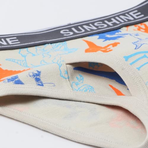 Baby Toddler Boys Briefs, Little Kids Potty Training Underwear, Dinosaur, Cartoon printed, 6-Pack3