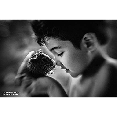 Lensbaby Lbo50 Sweet 50 Optic Lens #TOP5