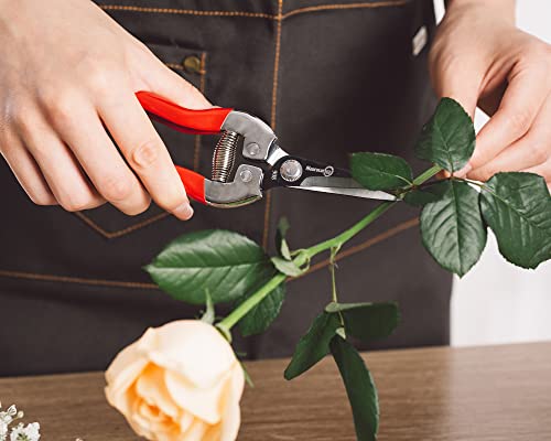 Sanung Pruning Shears Garden Tools Shears Lasting Sharp Labor-Saving for Trimming Plants Fruit Branches Shrub and Flower Suitable for Parks and Courtyard