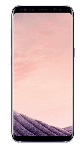 Galaxy S8 Smartphone Bundle (5,8 Zoll (14,7 cm), 64GB interner Speicher) - Deutsche Version
