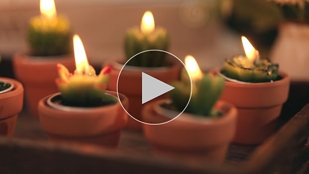 Amazon.com: Shihanee 36 Pcs Bulk Decorative Succulent Cactus