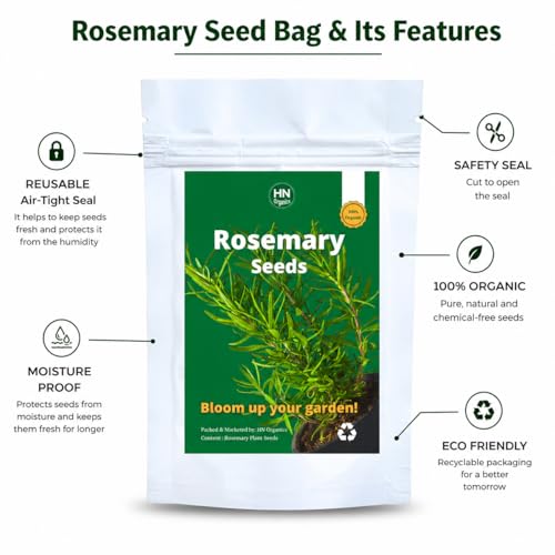 Image of Rosemary Seeds for Planting in Home Kitchen Garden (35-40 Seeds) (Rosemary)
