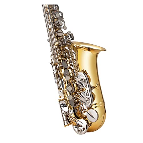 E-Flat Alto Saxophone Ǌy S҂ƑlɍœK Gg[x eXg S TbNX(J[: 4)
