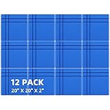 Sound Proof Foam Panels 12 Pack 20" X 20" X 2", Self-adhesive Sound Absorbing Panel, Fire Resistant