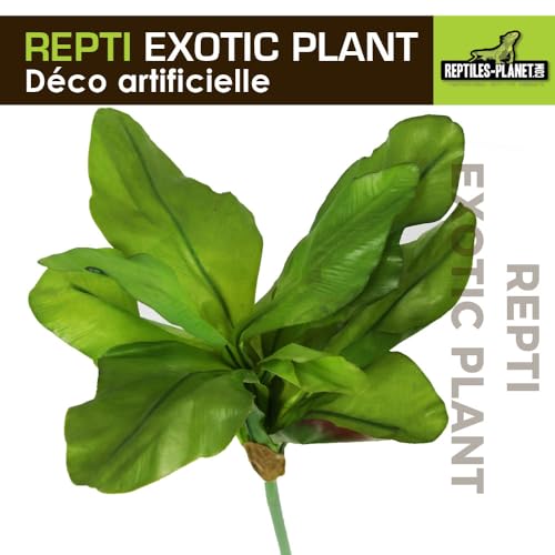 Reptiles-Planet Künstliche Pflanze für Terrarium Tropical, Musa Basjoo Sieb