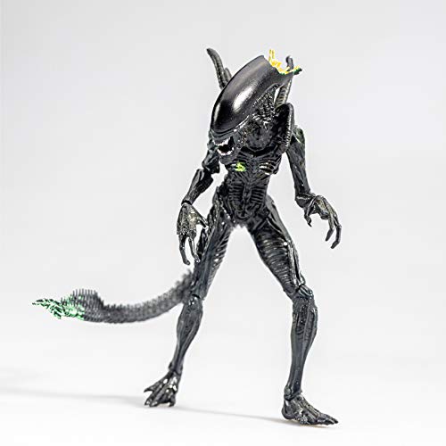 サティフォ（ONIGAWARA） / alien サティフォ（ONIGAWARA）、飯田瑞規（cinema staff）をゲスト