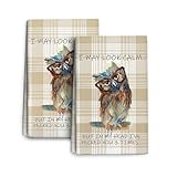 Wovoto Funny Owl Kitchen Dish Towels Decorative Set of 2, Absorbent Cute Buffalo Plaid Tea Hand Towels for Kitchen Farmhouse Housewarming Bar Cooking Baking Drying Decor Owl Lover Gift