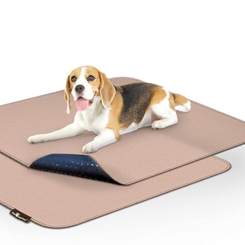 Paw Inspired Washable Pee Pads for Dogs (2 Pack), Leakproof, Non-Slip Reusable Puppy Pads for Potty...