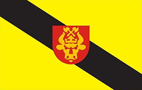 Drapeau Võhma pour célébrations et décoration extérieure - 2