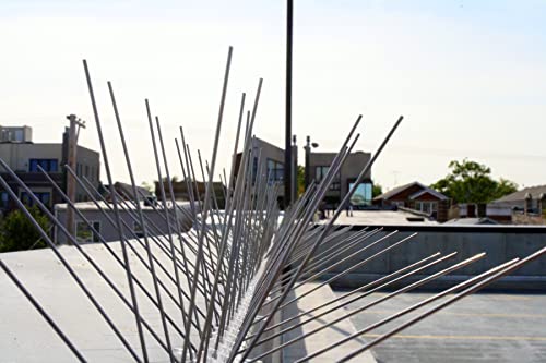 Bird-X Standard (Sts-10-R) Stainless Steel Spikes-10, 10 Feet #TOP5