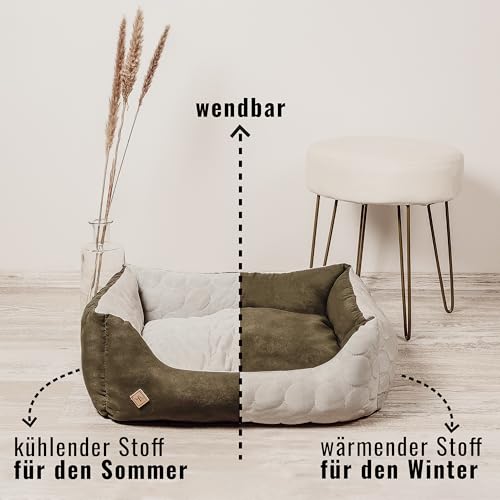 ne&no® Hundebett 2 in 1 PERSONALISIERT [kühlender und wärmender Stoff] | Tierbett mit Name I Hundebett kleine Hunde | Hunde Bett 45x60 | Hundebett eckig | Hunde Schlafplatz | (Br, m, pers.)