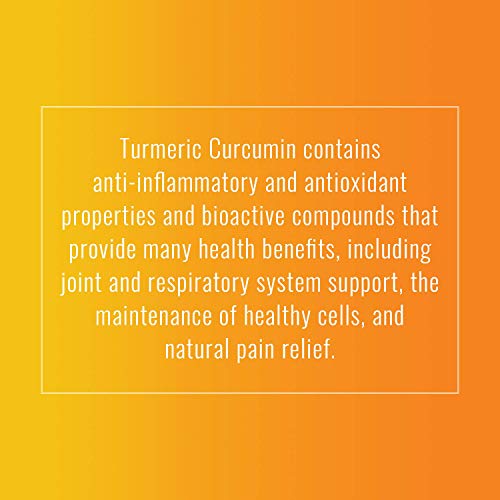 Nobi Nutrition Turmeric Curcumin with Bioperine and 95% Curcuminoids - Back Pain Relief, Joint Support and Anti Inflammatory - Tasteless Black Pepper for Quick Absorption - 90 Vegan Capsules - Thumbnail 7