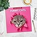 Funny Cats 2026 Square Wall Calendar
