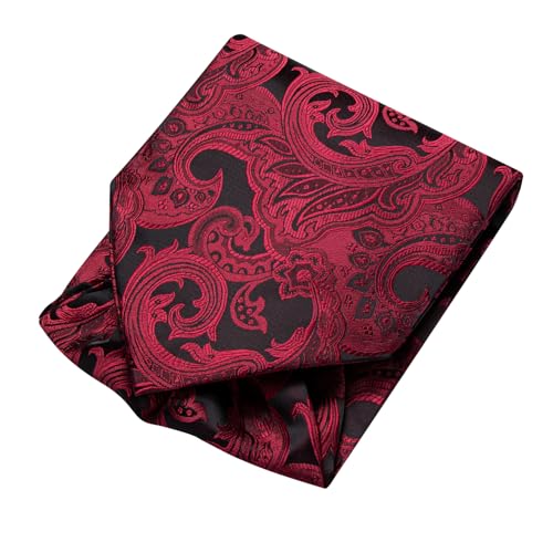Image of Dubulle Paisley Floral Ascot for Men Self Tie Mens Cravat and Pocket Square Cufflinks Wedding