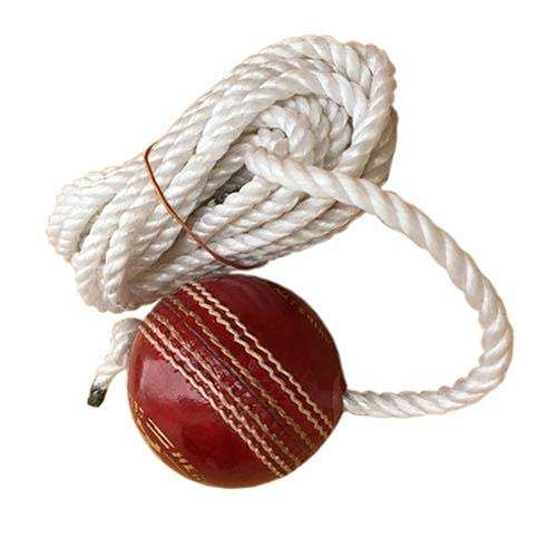 HKSS Cricket Leather Ball Match Practice Hanging Red Cricket Ball