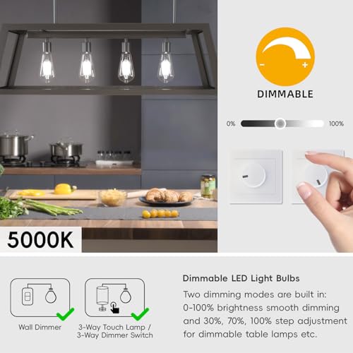 Image of Jensense Edison Bulbs E26 LED Bulb 60 Watt Equivalent, Vintage LED Light Bulbs CRI90+ ST19, Dimmable Clear Light Bulbs (5000K Daylight, 7watt-4 Pack)