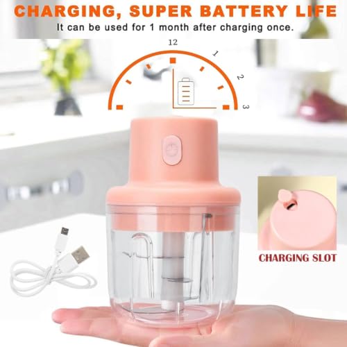 Image of Rechargeable Electric Mini Food Chopper for Vegetables, Fruits, Onion & Garlic | USB Charging Portable Food Processor | Stainless Steel 3-Blade Vegetable Cutter & Kitchen Chopper (250ml)