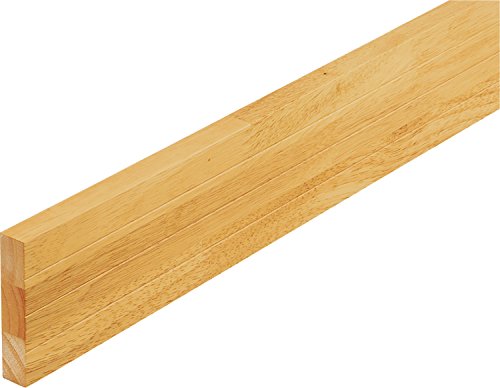 }cZ 肷⋭ BAUHAUS ؐx[Xv[g(ЖʃC) 100mm BH-322 NA 2m