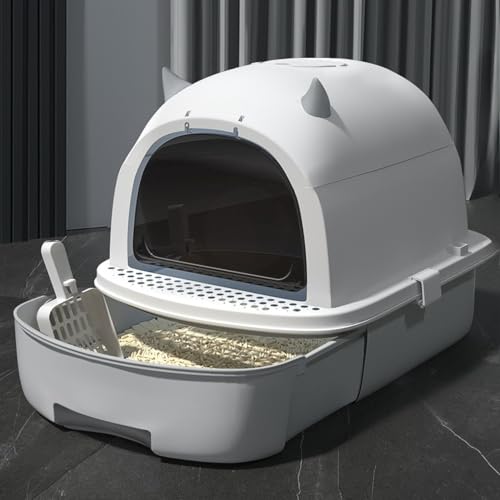 HxuolueLpgC{ ^ tJo[ LgC DF o ӂt 傫TCY   LюUh~ Lh~ ܂肽 XRbvt L gC LpgC (ZDF)