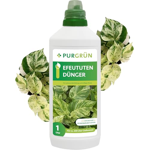Purgrün® Efeututen-Dünger 1 Liter – Intensive Blattfärbung dank Spurennährstoffe – Stärkt die Widerstandskraft – Schneller Wirkungseintritt – Ergiebiges Konzentrat für ca. 200 Liter Gießwasser