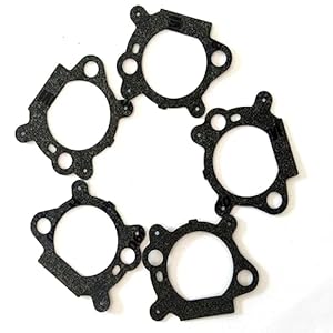 Seiwei Vergaser Dichtung Set für Briggs & Stratton, 5er Pack