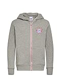FC Bayern München Kinder Zip-Jacke Logo grau, 152