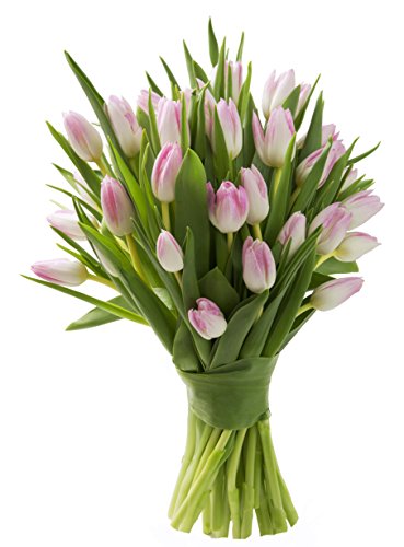Image of KaBloom-30 Pink Tulip Bouquet,Flowers for Valentine, Mother's Day