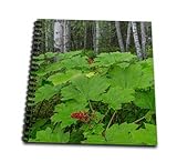 8 x 8 inches spiral bound glossy hard covered 9/16 inch twin loop wire binding spine 50 unlined pages, 8 x 7.75 inches - page thickness is 80lb text Acid free blank bright white non-coated paper Pages lay flat when book is opened