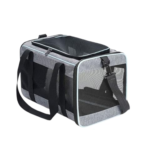 YAKINO ̃J[etLbNA^⏬p̐܂肽ݎybgL[P[XAs@AЊQȂǂɂœKłB (̃O[)