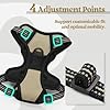 rabbitgoo Dog Harness No Pull with 2 Leash Clips, Adjustable Soft Padded, Reflective Oxford No Choke Pet Vest with Easy Control Handle for Puppy, Beige, XS #3