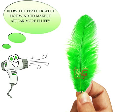 Image of Natural Dyed Feathers 10 cm (80 pieces) (Light Green)