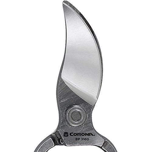 Corona tijeras podadoras Classic Cut 8 in acero miniatura 3