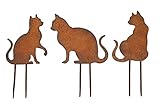 blechkatzen für den garten Maße: die 3 Katzen sind 10,5-11,5cm Hoch, zwischen 7,5-12cm Breit, mit jeweils 2 Erdspießen ca. 7cm lang. Jeder der Blumenstecker aus Rost ist ein Unikat, so fällt die Patina immer unterschiedlich aus.