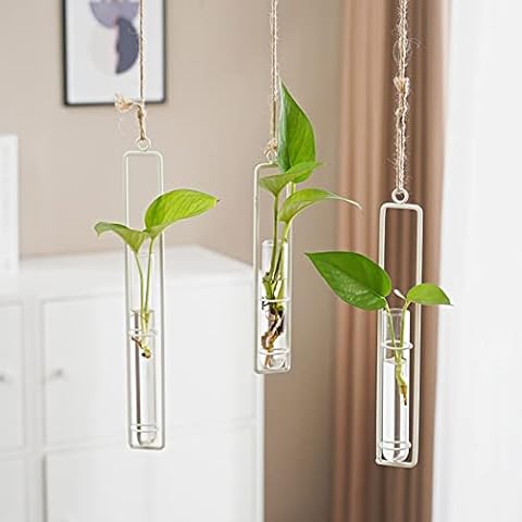 AQRICHFOX Hanging Plant Test Tube Set Cover